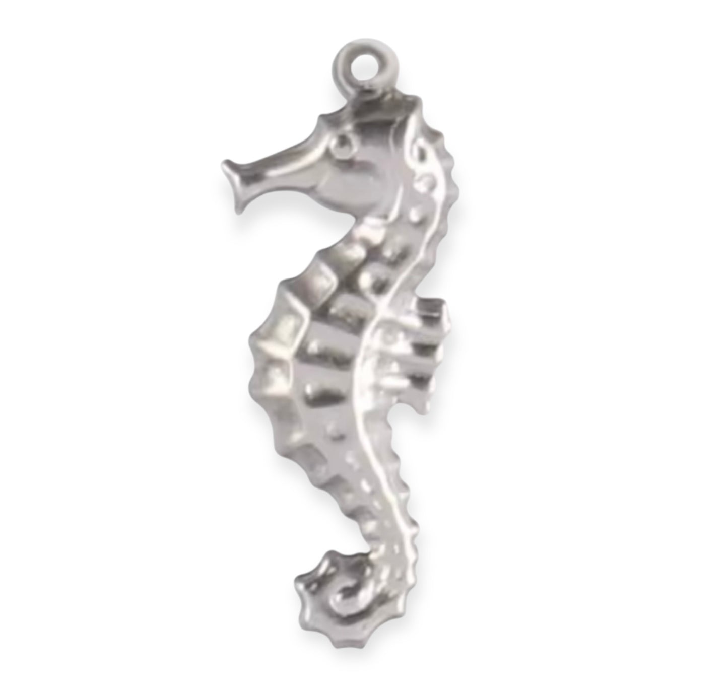 Charm hippocampe