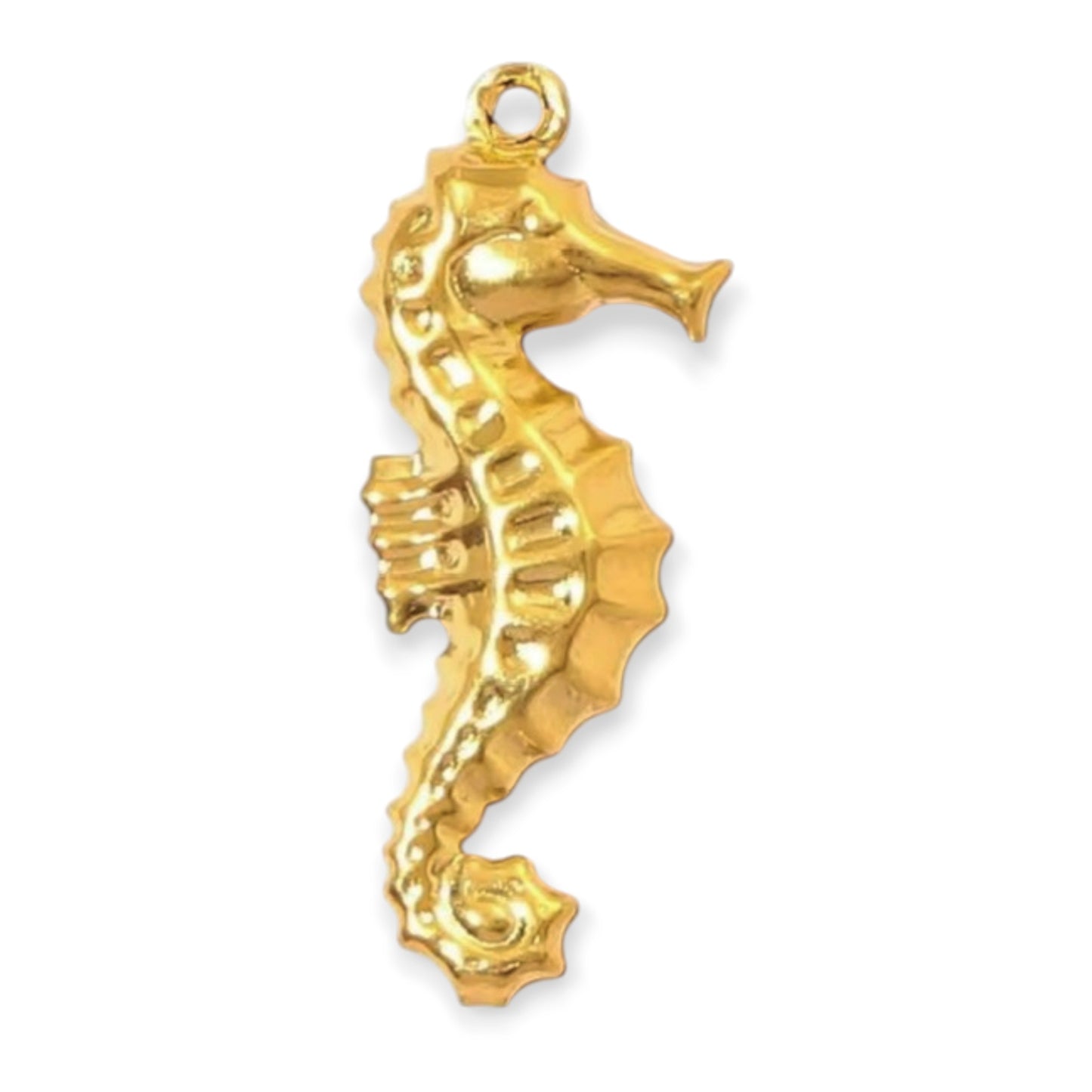 Charm hippocampe